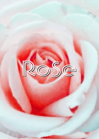 Sweet Rose 2