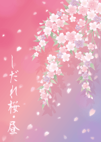 しだれ桜・昼