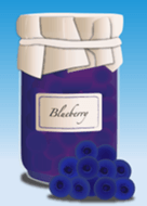 Theme of jam (blueberry)