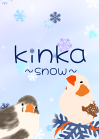 キンカチョウと雪