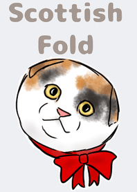 スコティッシュフォールドの着せ替えB