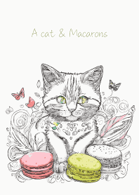 A cat and Macarons