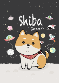 Shiba Inu dog. (Black)