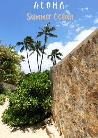 ALOHA Summer Ocean Lanikai 17