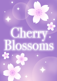 Cherry Blossoms2(purple)