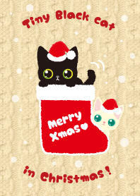 Tiny Black Cat in Christmas!