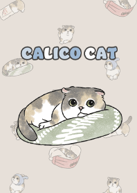 calicocat2 / dark beige