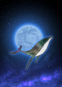 星空与鲸鱼2