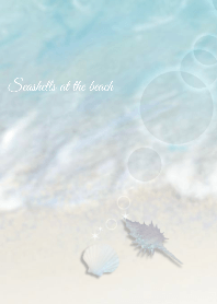Seashells at the beach