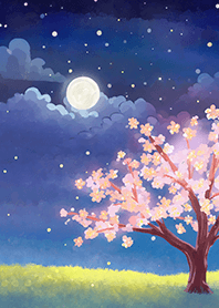 Beautiful night cherry blossoms#1413