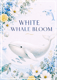 purple White Whale Bloom