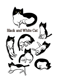 Misanthrope little black and white cat