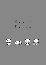 小熊貓 / gray black