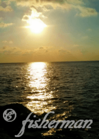 The secret of success