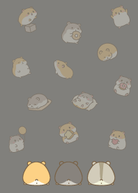 Cute fat hamster/18