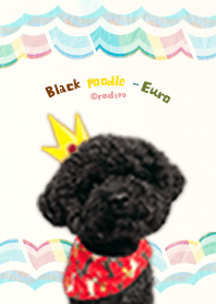 Black Poodle -Euro