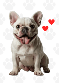 French Bulldog Theme B/W 03