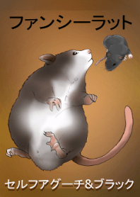 fancy rat Theme No3