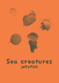 Sea crt TangerineORN