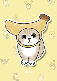 neko combo3 / lemonade