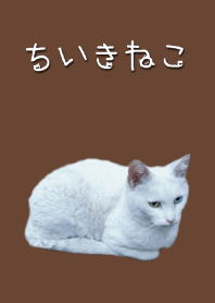 地域猫着せ替え