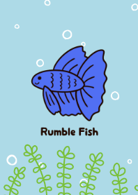 Tema ikan biru lucu (Rumble Fish).