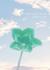 Real Lucky Clover 5-leaf #2-48