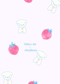 Maltese Dog & strawberry