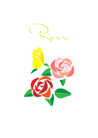 three color roses