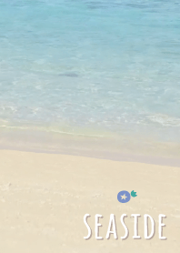 海辺 あさがお'ベージュ'