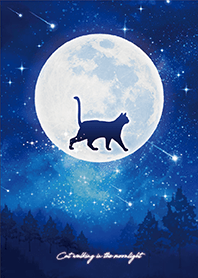 Cat walking in the moonlight 3