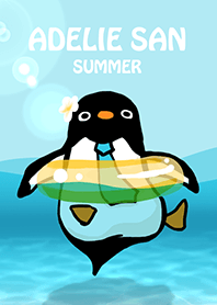Adelie penguin summer