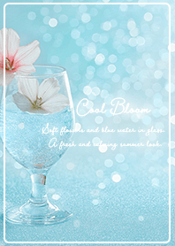 Summer Glass & Bloom01_1