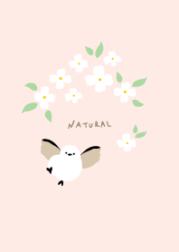 Long-tailed tit Pretty flower30 Japan