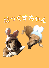 だっくすちゃん