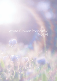 White Cover Photo#1-6Not AI