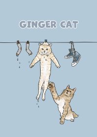 gingercat3 / blue