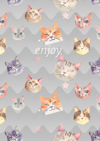 Various cat faces on white