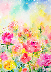 Beautiful rose flower(R3796)