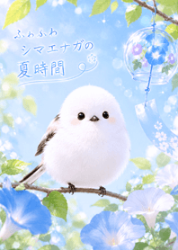 purple Fluffy Summer Shima Enaga