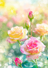 Beautiful rose flower(R1518)