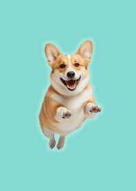 귀여운 코기 테마 Green 08