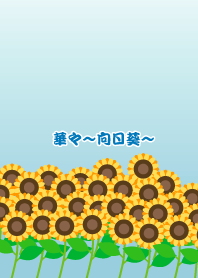 Flowers -sunflower-