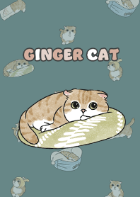 gingercat11 - cadet blue