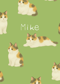 Chubby Calico Cat on moss green
