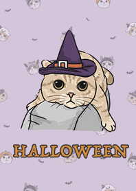 meow's halloween / grape