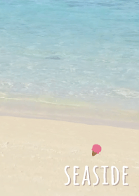 海濱 冰'淺褐色的'