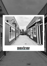 monochrome photograph 59