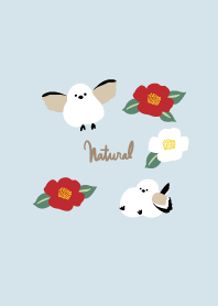 Long-tailed tit, camellia2 from Japan