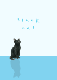 Black cat - soft blue theme